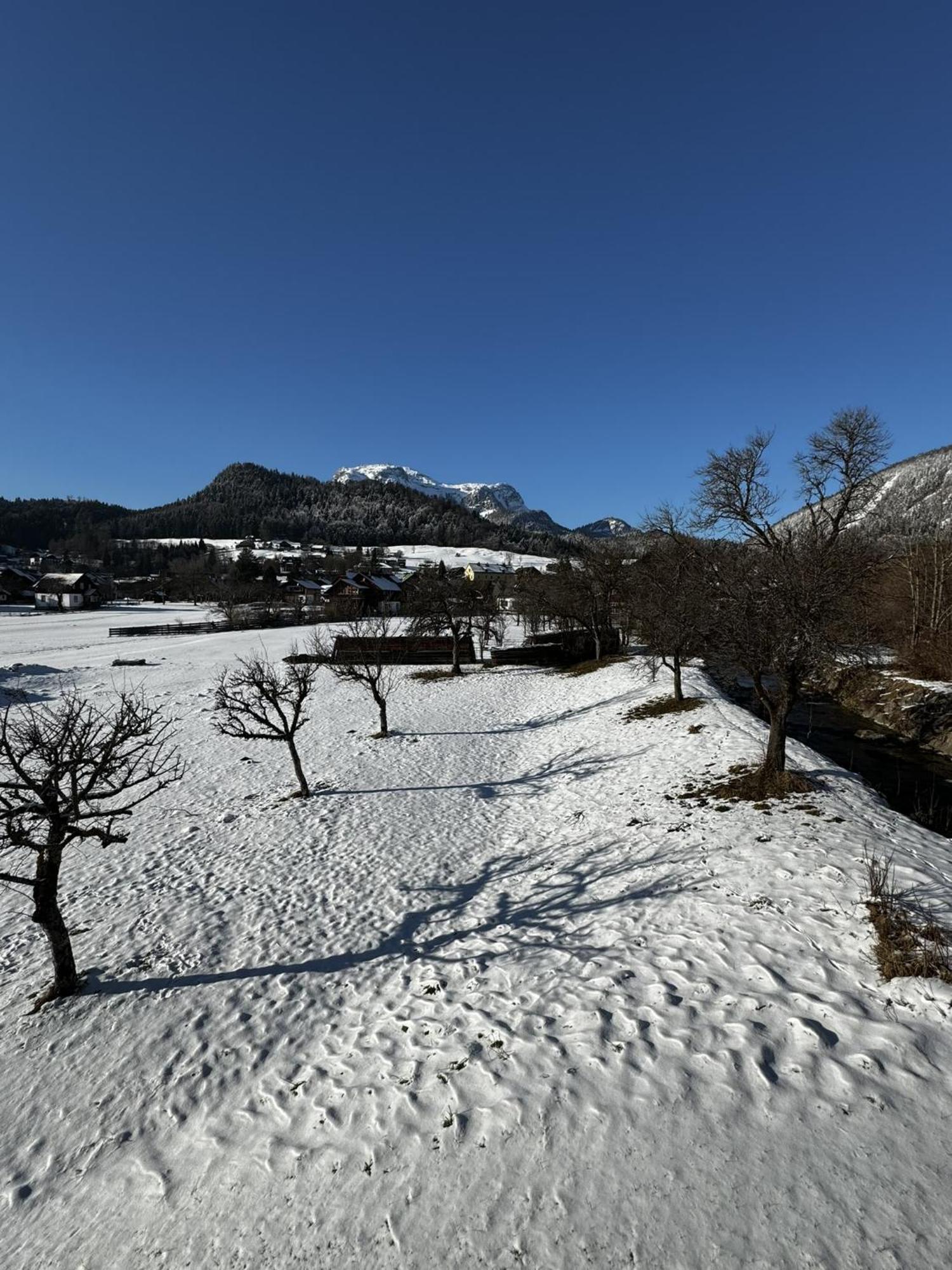 Heli'S Holiday Suites, 8992 Altaussee, Suites "Dachstein", "Sarstein", "Trisselwand" 客房 照片